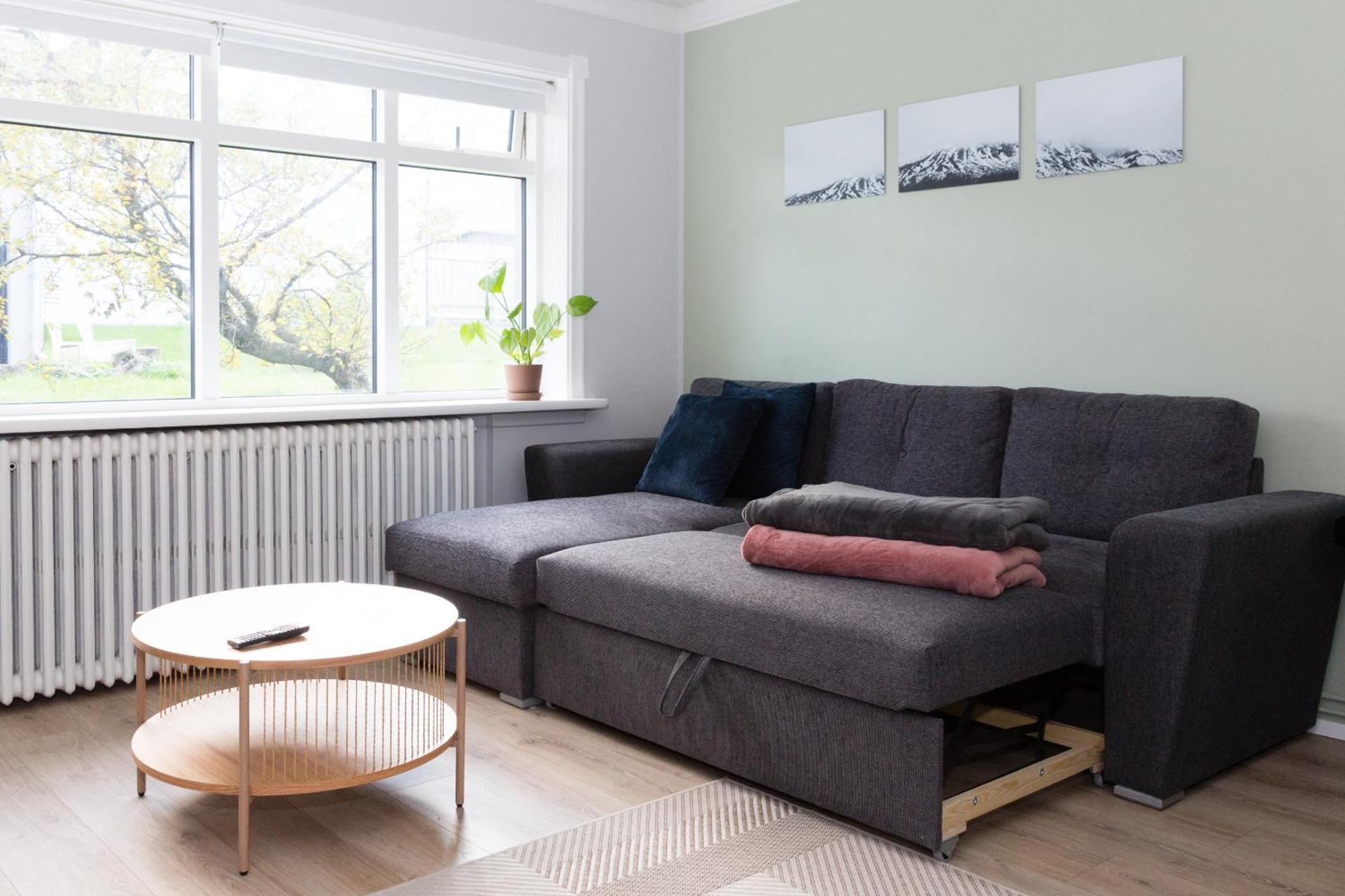 Lali Full Apartment Рейкьявик Экстерьер фото